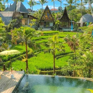 Üdülőközpont Menzel, Ubud